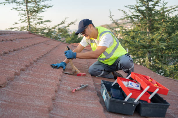 Best Roof Gutter Cleaning  in Cottage City, MD